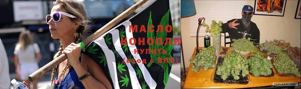 дмт Абаза