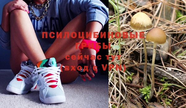 ГАЛЛЮЦИНОГЕННЫЕ ГРИБЫ Абдулино