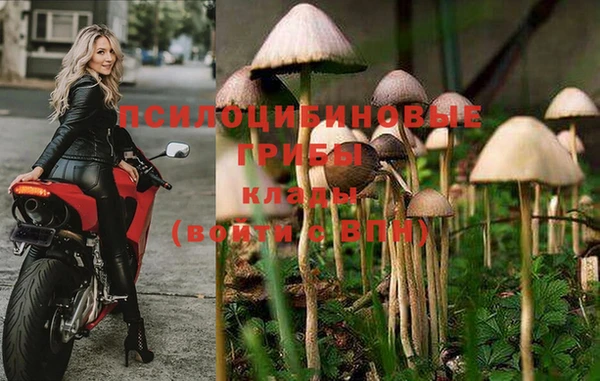 синтетический гашиш Алексин
