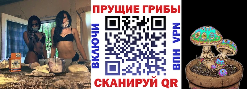 Псилоцибиновые грибы Psilocybe  Дубовка 