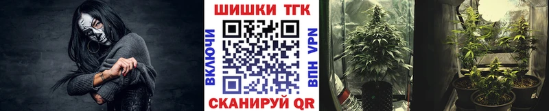 Бошки марихуана план  ОМГ ОМГ зеркало  Дубовка 